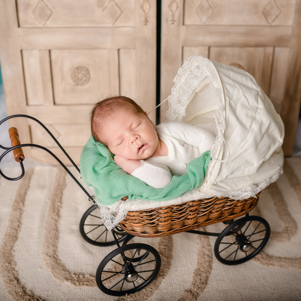 The Evolution of Baby Strollers: A Stroll Down Memory Lane