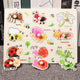  Insects