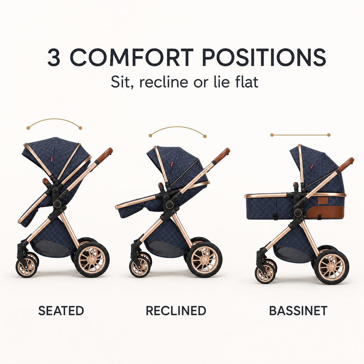 Adjustable stroller seating and reclining positions