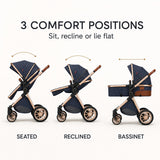 Adjustable stroller seating and reclining positions