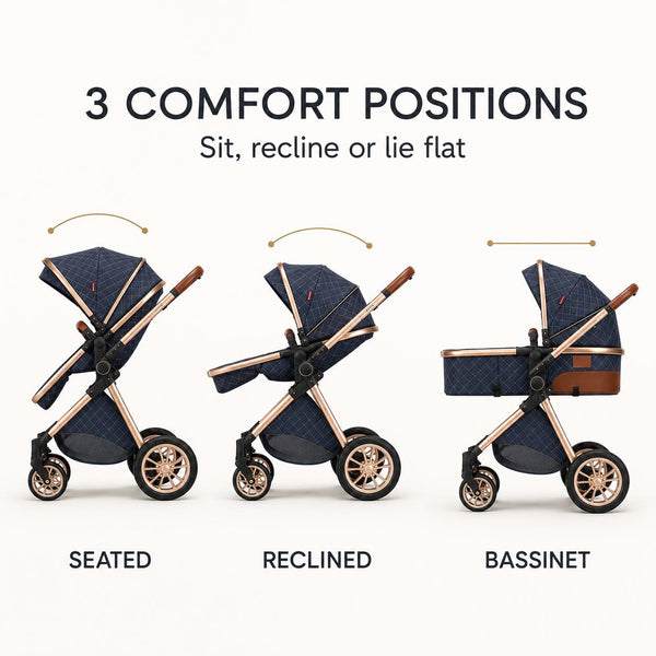 Adjustable stroller seating and reclining positions